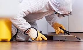 Best Termite Inspection and Treatment  in Spotswood, NJ